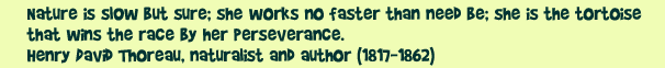 Nature is sl0w but sure; she works no faster than need be; she is the tortoise that wins the race by her perseverance.  Henry David Thoreau