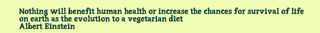 Nothing will benefit human health or increase the chances for survival of life on earth as the evolution to a vegetarian diet. Albert Einstein