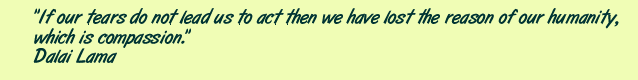If our tears do not lead us to act then we have lost the reason of our humanity, which is compassion. Dalai Lama