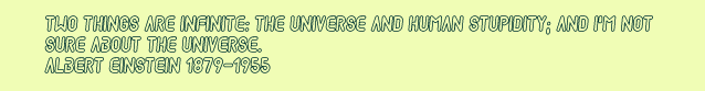 Two things are infinite: the universe and human stupidity; and I'm not sure about the universe. Albert Einstein