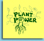 Plant Power